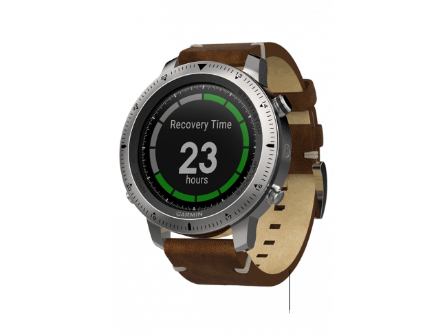 Garmin fenix chronos price online