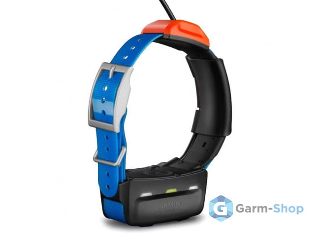 Ошейник Garmin T5 010-01041-F4 - Товары для дрессировки собак в ...